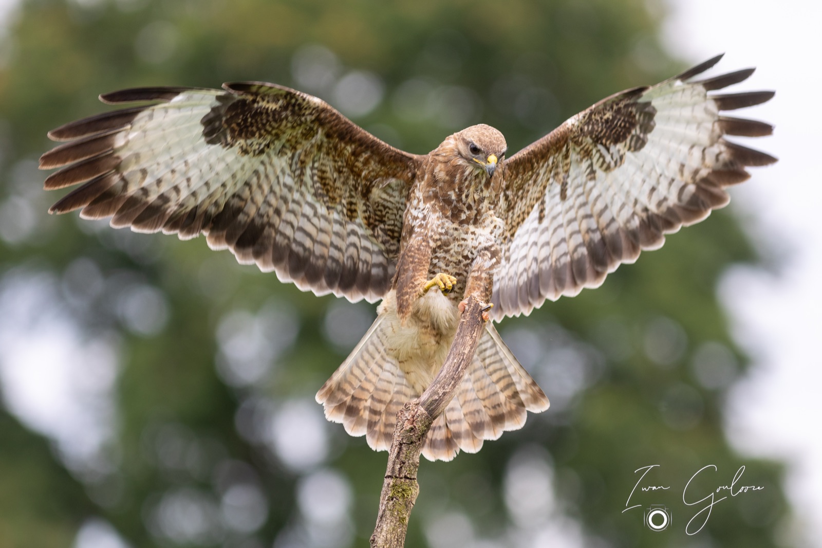 25 juni 2022 145425 1R2A0563